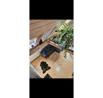 Doppelhaushälfte möbilliert zur Miete - Konstanz Konstanz-Fürstenberg