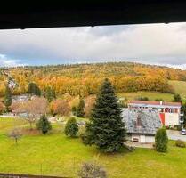 Wohnung in Wilhelmsfeld - 480,00 EUR Kaltmiete, in Wilhelmsfeld (PLZ: 69259)