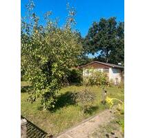 Pachtgarten in Torgelow - 2.500,00 EUR Kaltmiete, ca.  0,00 m² in Torgelow (PLZ: 17358)