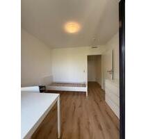 Uninähe Apartment zur Miete - auch Jobcenter - Trier Kürenz