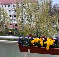 3 Raum Wohnung zum WGT Pfingsten - Leipzig Mitte