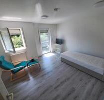 1 Zimmer Appartement vollmöbiliert - Rastatt