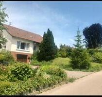Orsenhausen Einfamilienhaus in traumhafter Lage 1020qm Grund - Schwendi