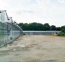 Gartenanbaufläche zu verpachten mit Gewächshaus ( 3000 m² ) - Osterholz-Scharmbeck