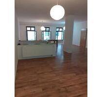 Loft-Wohnung im Zentrum von Landau GewerbeGeschäft möglich - Landau in der Pfalz
