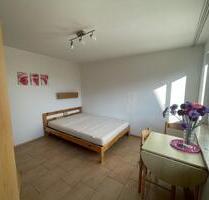 Scheidegg (nicht !!Lindau) helles App 1,5Zi mit großer Terrasse - Lindau (Bodensee)