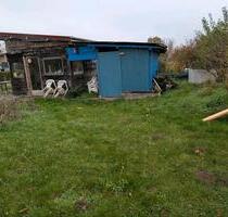 Kleingarten abzugeben - 535,00 EUR Kaltmiete, ca.  0,00 m² in Wolfenbüttel (PLZ: 38302) Ahlum