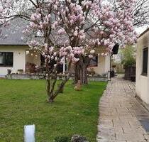 Schönes Einfamilienhaus in ruhiger Lage zu vermieten. - Dillingen an der Donau