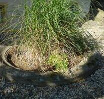 1 RaumWohng City 49m2 Kü.Diele Bad Stellpl. - Bautzen