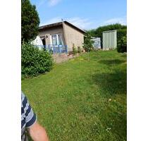 Wolf im Schafspelz - 2.500,00 EUR Kaltmiete, ca.  0,00 m² in Meißen (PLZ: 01662)