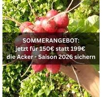 Acker Gemüsegarten Selbstversorger Garten - Königswinter