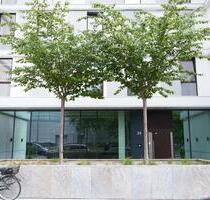 Stilvolle, neuwertige 2 Zimmer Neubauwohnung in Prenzlauer-Berg - Berlin Friedrichshain-Kreuzberg