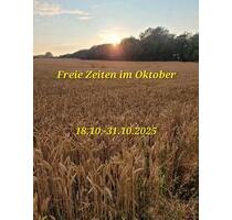 Ferienwohnung Gollwitzer Ankerplatz Insel Poel Ostsee - Bad Salzuflen Biemsen-Ahmsen