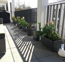 Neuwertige 3-Raum-Wohnung mit Balkon und Einbauküche in Dreieich