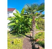 Wohnhaus für die Großfamilie - 460.000,00 EUR Kaufpreis, in Heßheim (PLZ: 67258)