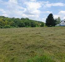 Feld, Wiese, Grünefleche, Ackerland zu Verpachte - Witten Heven