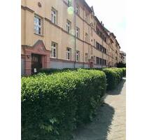 Wohnküche+Gäste-WC+Loggia!!! - 582,00 EUR Kaltmiete, ca.  65,52 m² in Leipzig (PLZ: 04347) Nordost