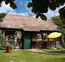 Noch freie Tage: Ferienhaus im Grünen, im Hunsrück nahe der Mosel - Cochem