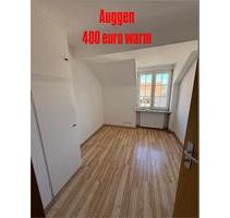 1 Zimmer Appartement zu vermieten auch auf Zeit - Auggen