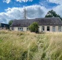 Provisionsfrei. Alte Schule mit 8000 m², Scheune und Bauland - Ferdinandshof