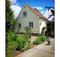 Immobilie in 16259 Steinbeck bei Höhenland - Bad Freienwalde (Oder)