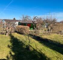 Kleingarten in Cossebaude - 350,00 EUR Kaltmiete, ca.  0,00 m² in Dresden (PLZ: 01156) Cossebaude