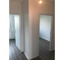 Wohnung in Neu-Hohenschönhausen - Berlin Lichtenberg