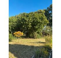 Pachtgarten - 300,00 EUR Kaltmiete, ca.  0,00 m² in Haldensleben (PLZ: 39340)
