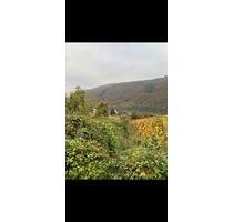 Freizeitgrundstück Weinberg Burg Coreidelsteiner Klotten Cochem