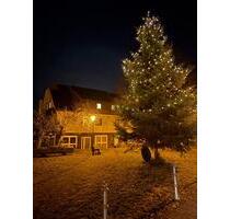 2 Zimmer frei ab sofort 4 Betten - Calw