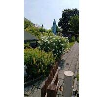 Garten abzugeben Sonnenberg - 150,00 EUR Kaltmiete, ca.  0,00 m² in Chemnitz (PLZ: 09122) Markersdorf