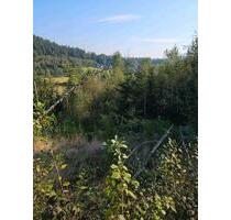 Wald, Lichtungsgrundstück, mit Sieg-Blick in Wissen