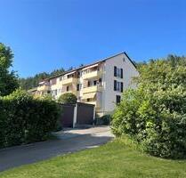 Renovierte 3 Zimmer Wohnung mit Balkon und Einbauküche zu vermieten! - Immendingen