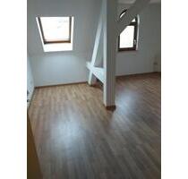 gemütliche Dachgeschosswohnung am Wilhelm-Wunderlich-Park in Meerane