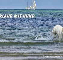 Urlaub mit Hund Last Minute Ostsee 09.08. - 16.08.2025 - Schönberg (Holstein)