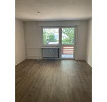 Renovierte, großzügige 2-Zimmer-Wohnung im Erdgeschoss mit Terrasse ab sofort frei - Nürnberg Gibitzenhof