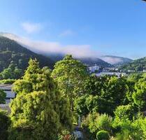 Einfamilienhaus mit separater Wohnung - Eberbach