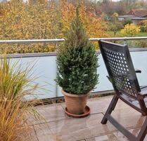 Eigentumswohnung Essen - Haarzopf