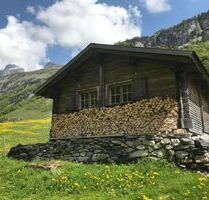 Berghütte im Berner Oberland - 993,00 EUR Kaltmiete, in Steinhagen (PLZ: 33803)