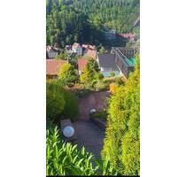 Wohnung zu Vermieten - 950,00 EUR Kaltmiete, in Wildberg (PLZ: 72218)