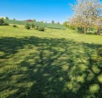 Bauplatz voll erschlossen - 46,00 EUR Kaltmiete, ca.  0,00 m² in Gemünden (PLZ: 55490)