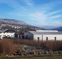 Gewerbehalle zu vermieten - 2.950,00 EUR Kaltmiete, ca.  660,00 m² in Wehingen (PLZ: 78564)