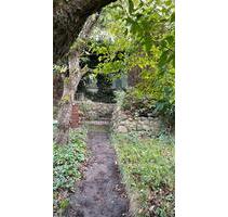 Schmucker, freundlicher Kleingarten mit altem Baumbestand - Penzlin