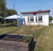 Pachtgarten mit Laube in Wernshausen - Breitungen/Werra