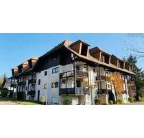 Renovierte u Möblierte Wohnung mit Balkon und Einbauküche - Bad Liebenzell