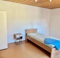 SGE-IMMO WG- Zimmer zu vermieten - Sinsheim