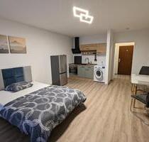 Furnished Apartment Ludwigshafen - Nice View - fully renovated - Neuhofen