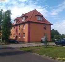 3 Zimmer Wohnung im EG- Wohnen in zentraler ruhiger Lage in Burg - im 1.OG