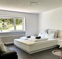 Möblierte Wohnung in Waldshut zur Untermiete - Waldshut-Tiengen