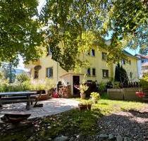 Charmante 3 Zimmer Erdgeschosswohnung +Garten +Terrasse +Garage - Bad Säckingen